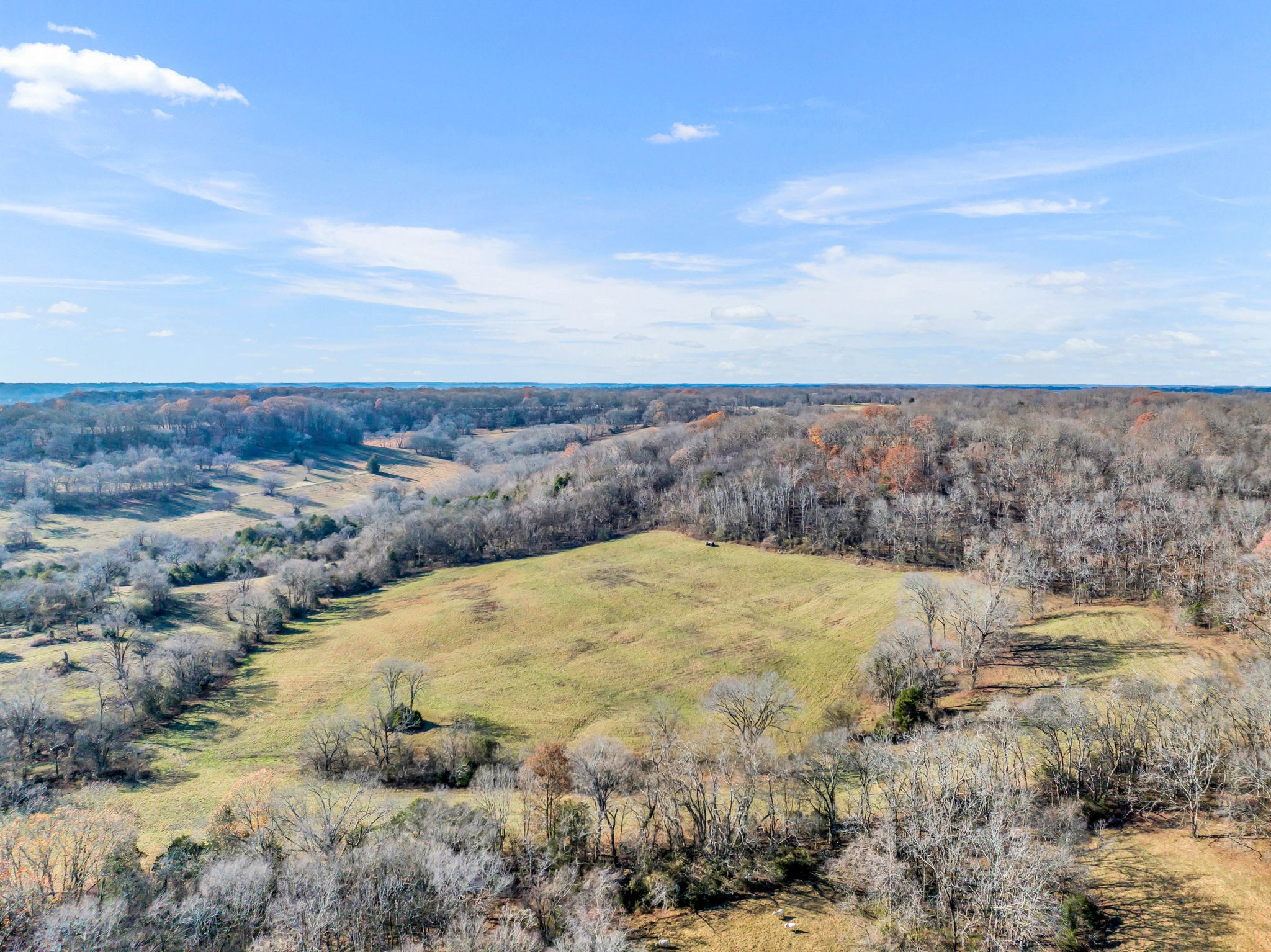 3200 Charlie Thomas Road