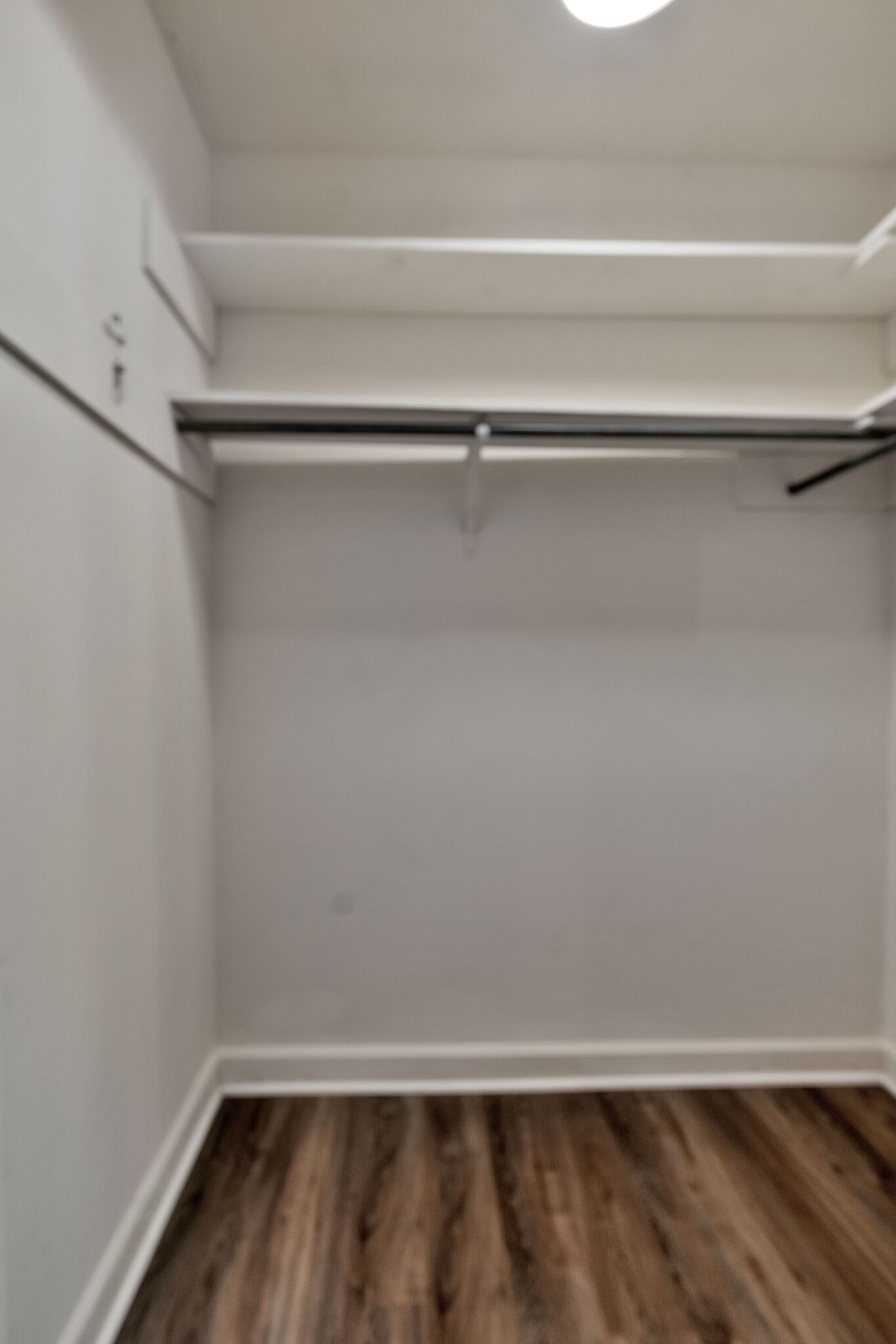 256 Cana Cir