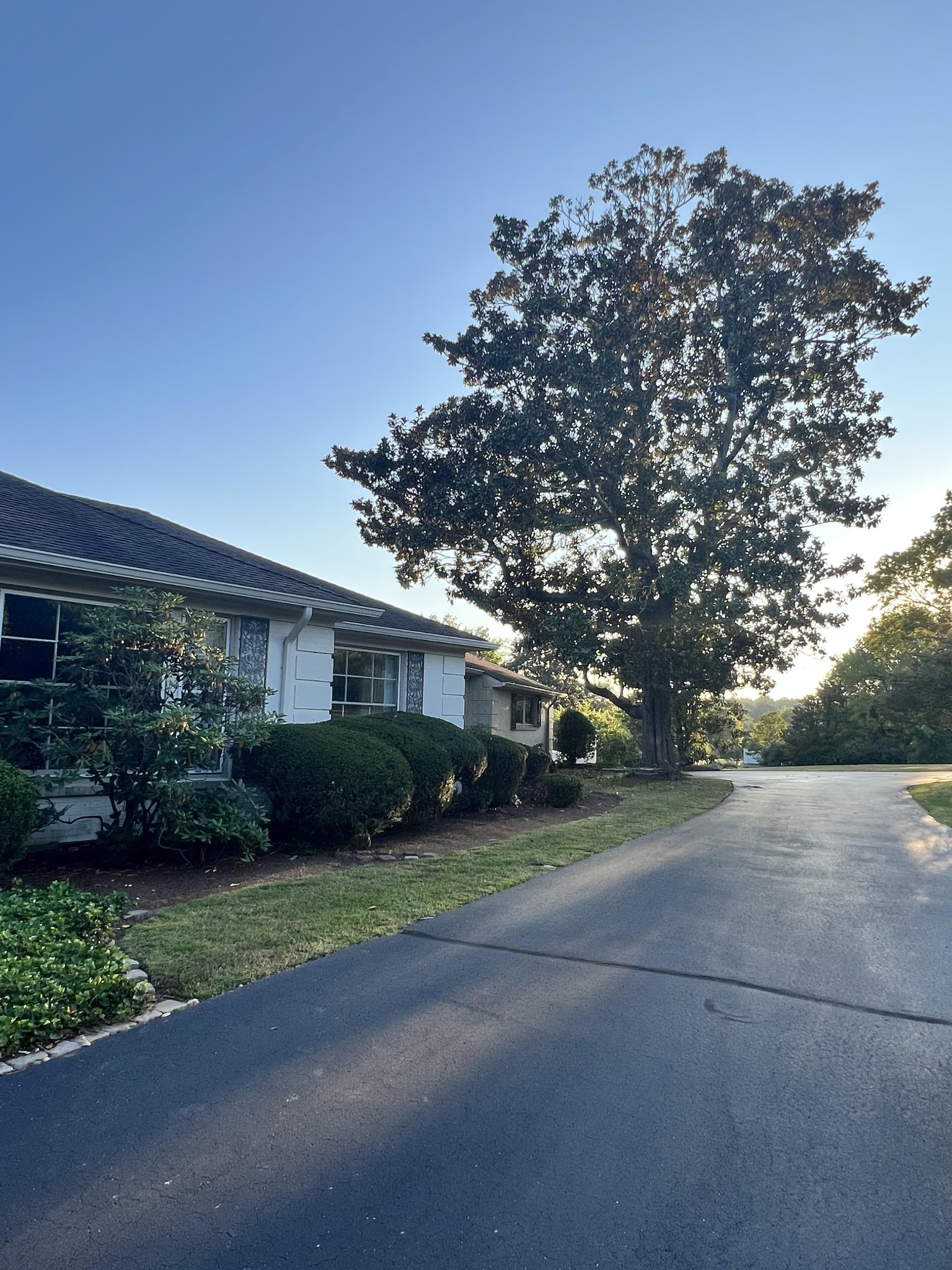 401 W Hillwood Dr