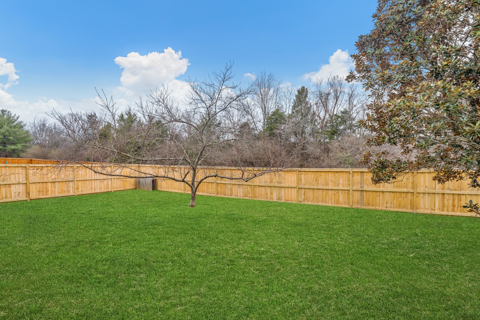 252 Wisteria Dr