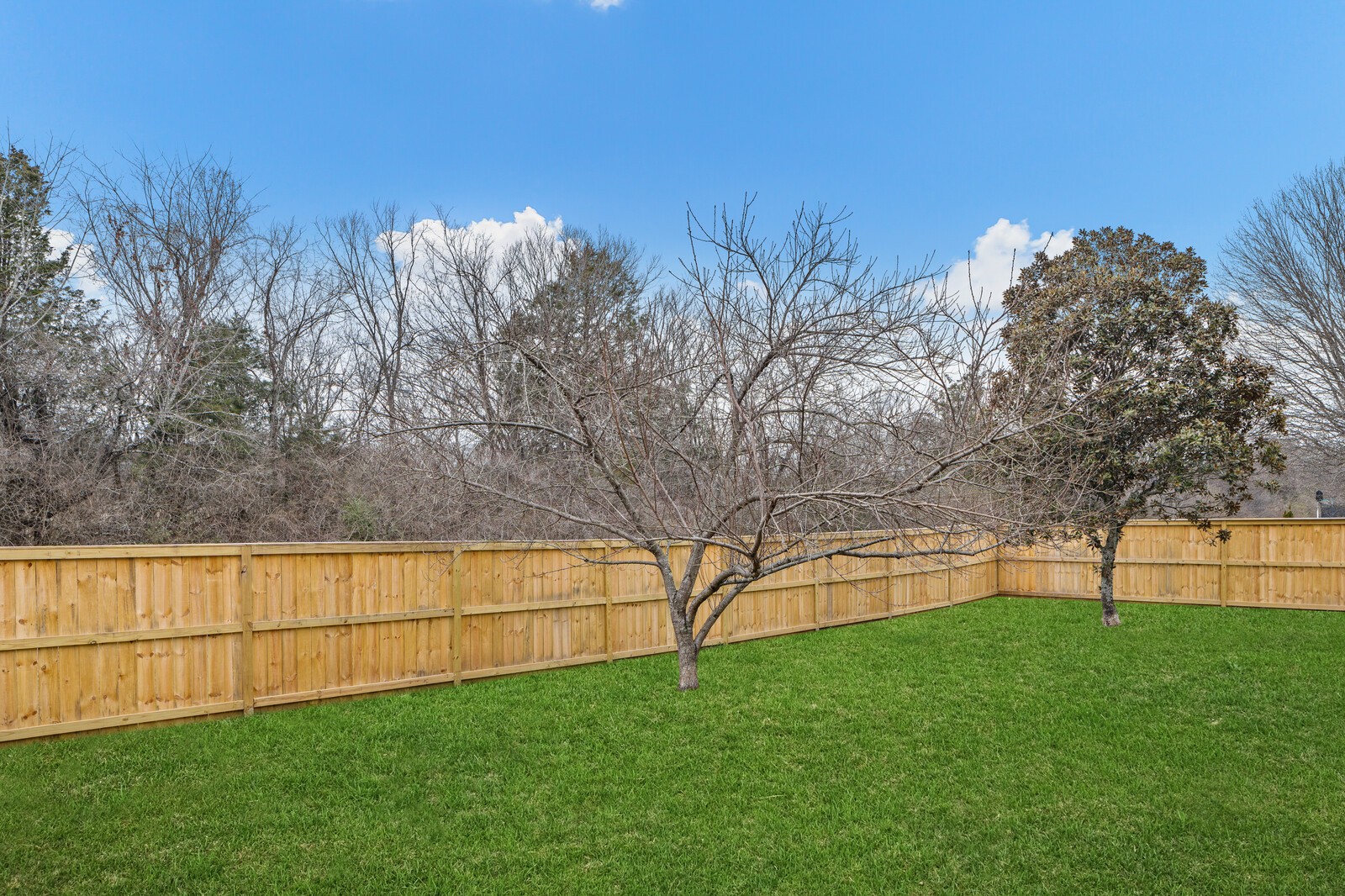 252 Wisteria Dr