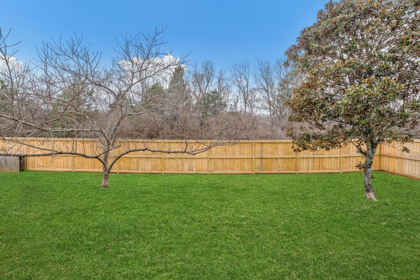 252 Wisteria Dr