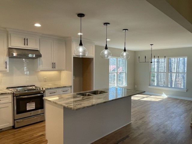 1178 Bald Eagle Drive