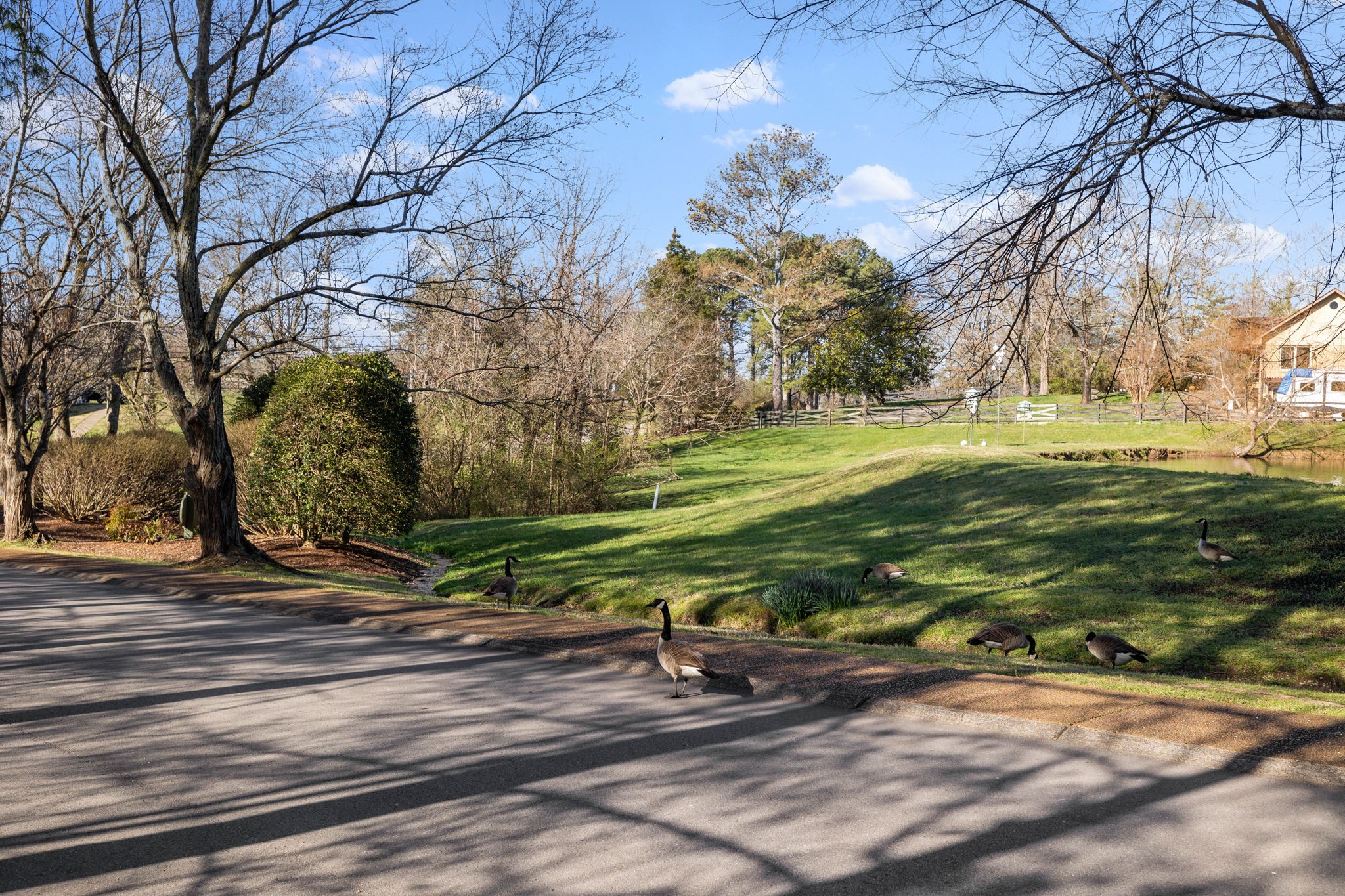 126 Belle Glen Dr