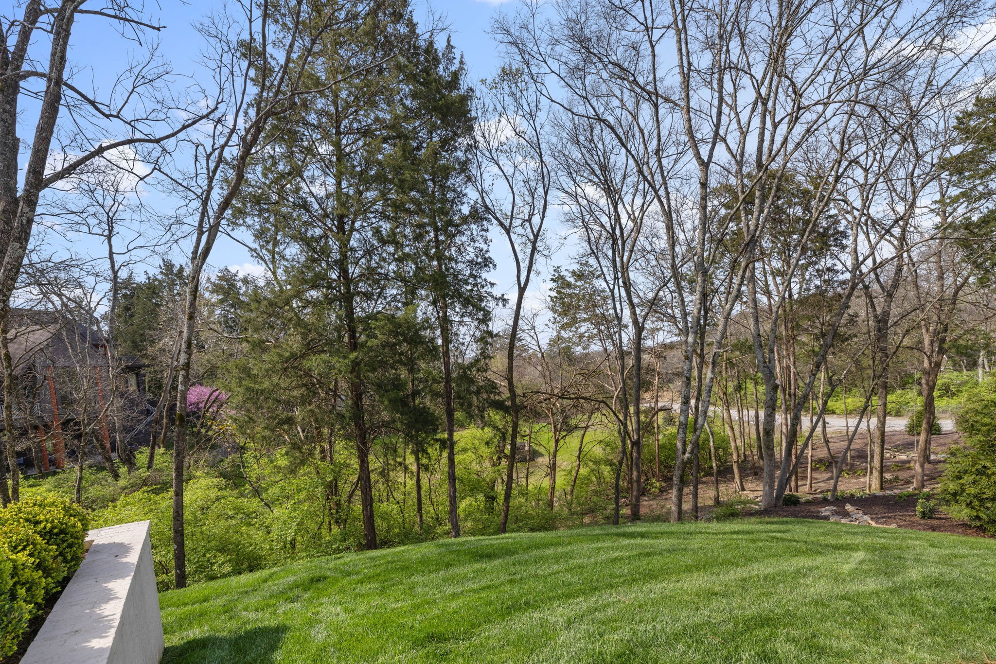 1508 Carlybrooke Ln
