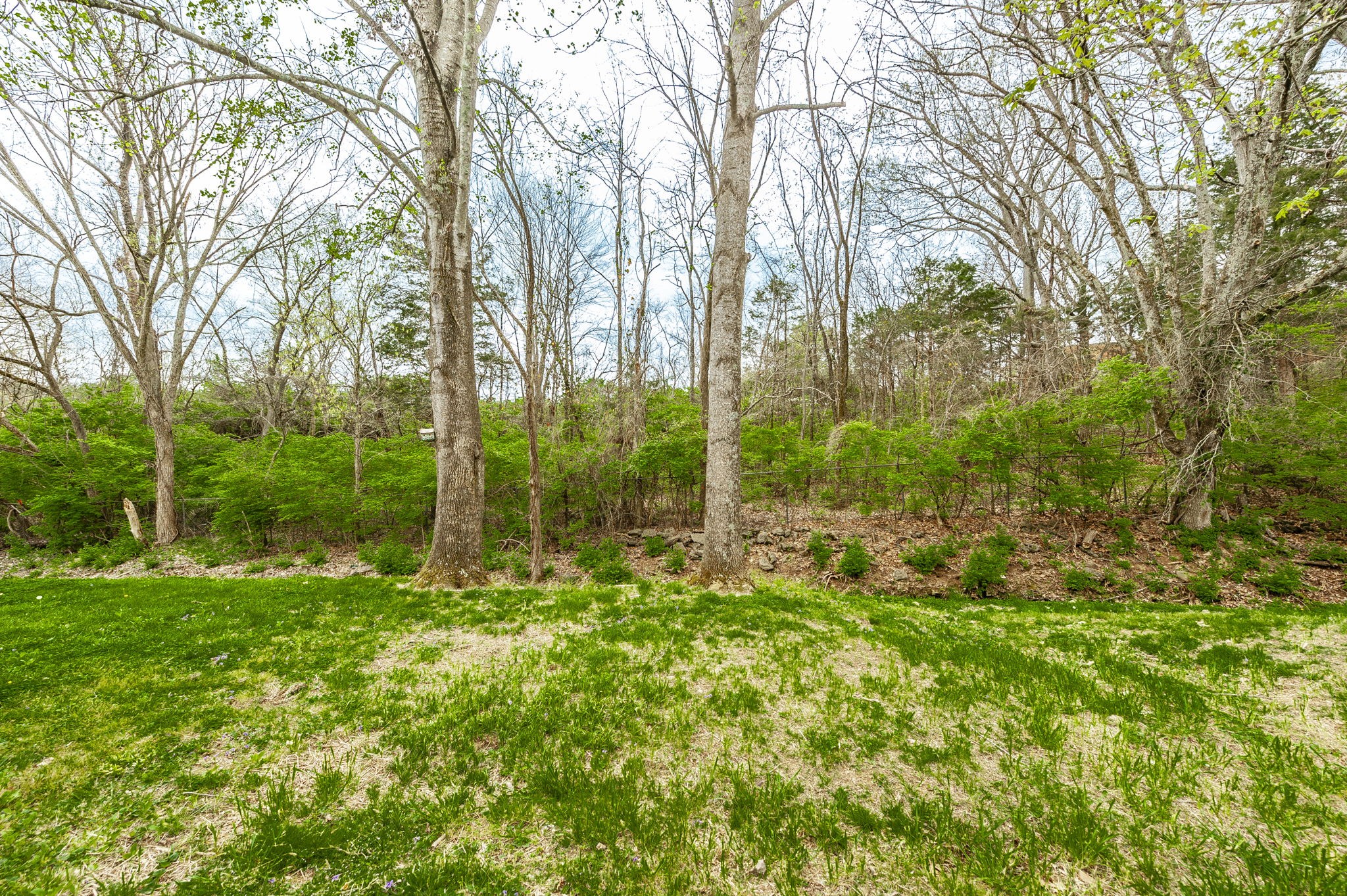 243 Cana Cir
