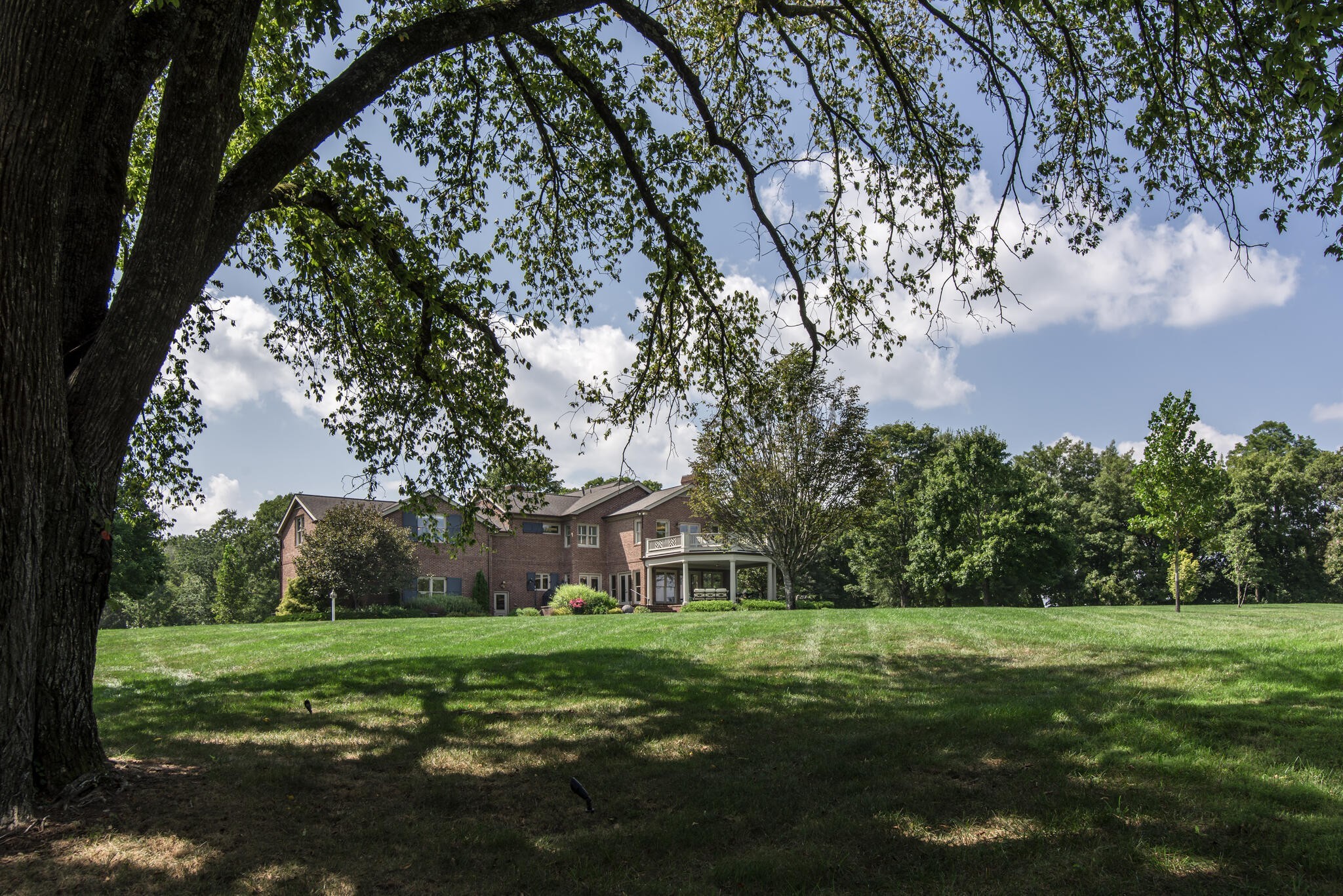 1111 Eller Ln