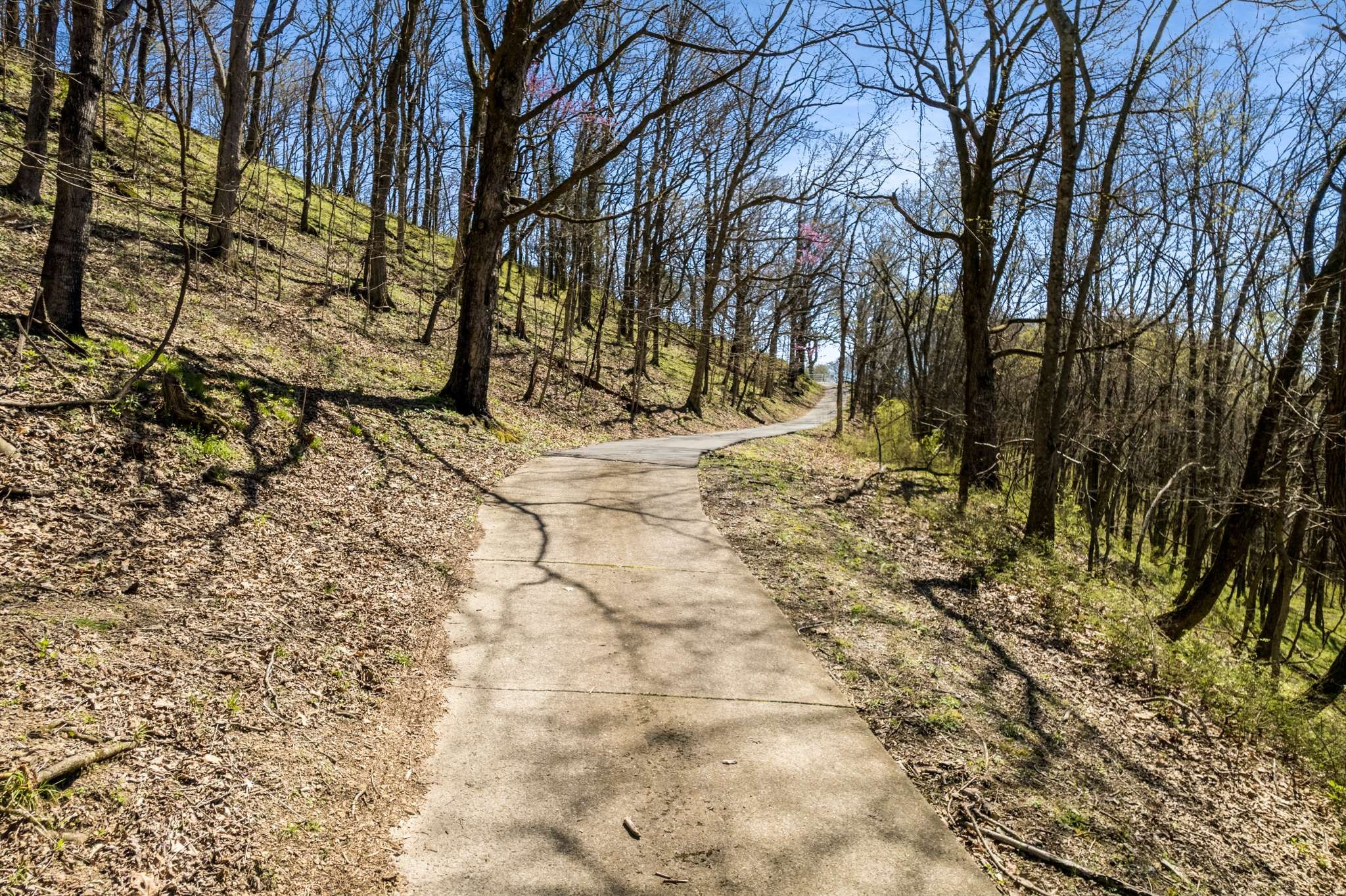 1841 Burke Hollow Rd