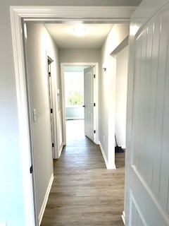 484 Shannon Court