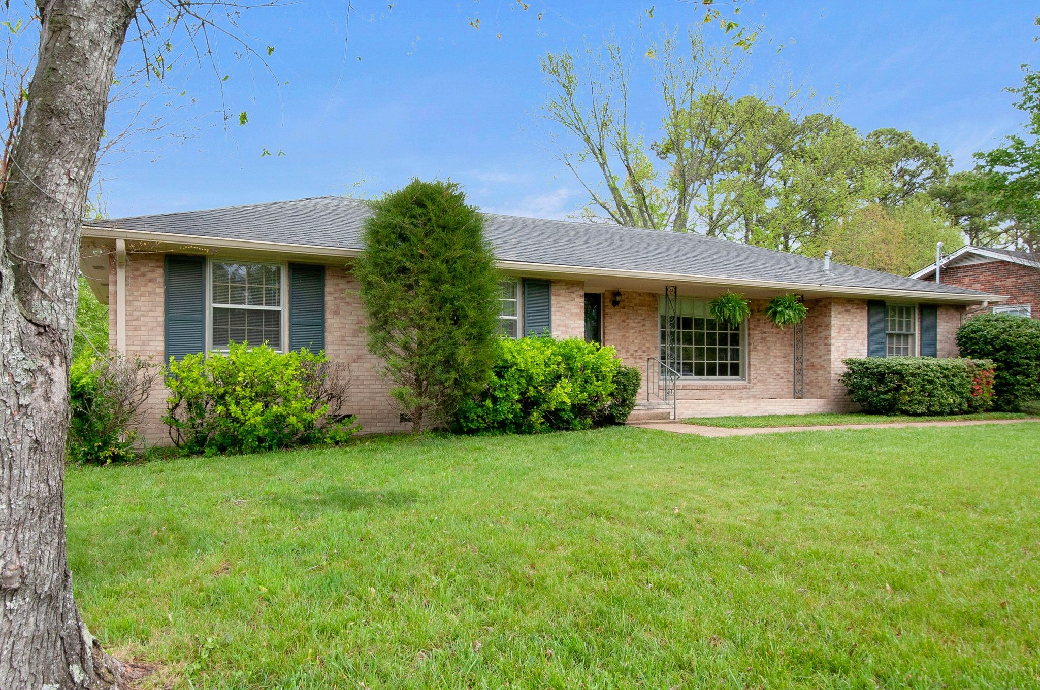 7484 Stacy Dr