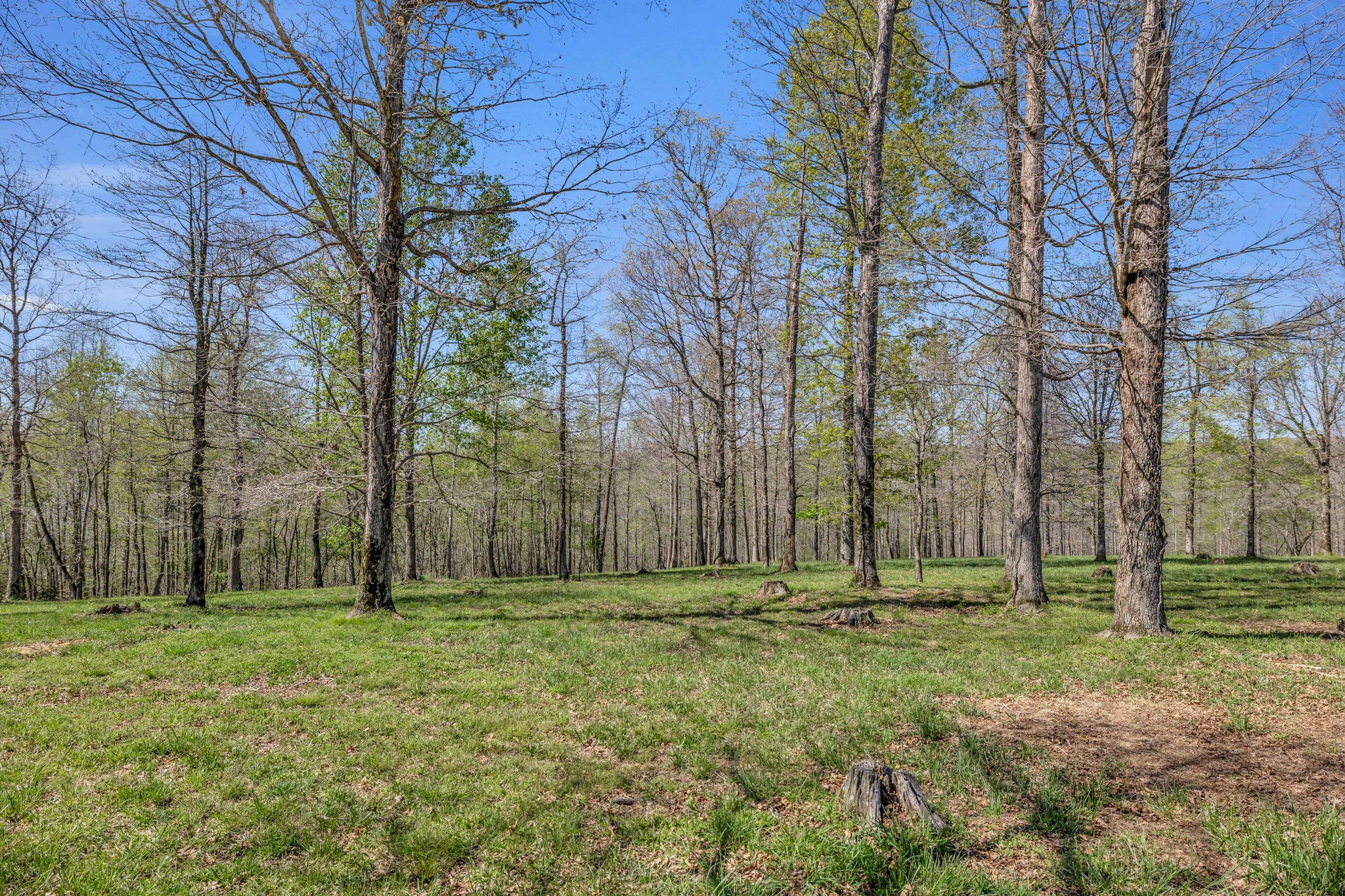 7850 W Lick Creek Rd