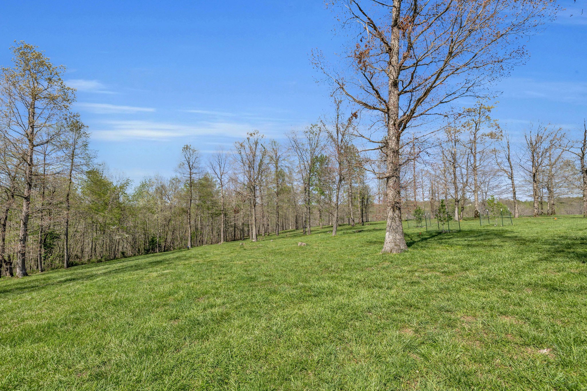 7850 W Lick Creek Rd