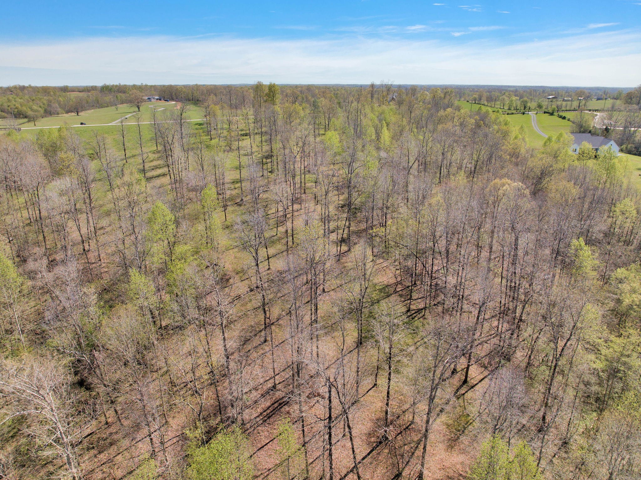7850 W Lick Creek Rd