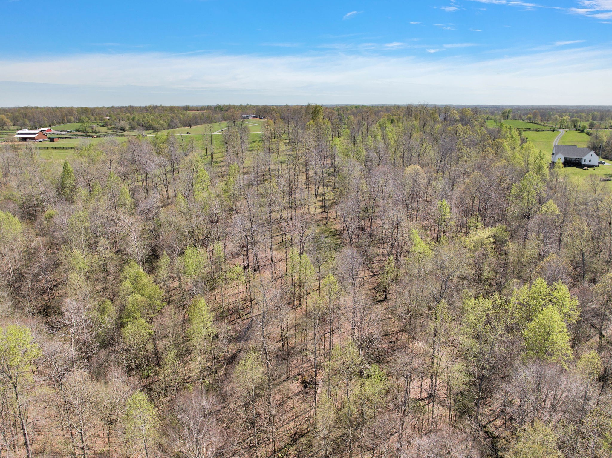 7850 W Lick Creek Rd