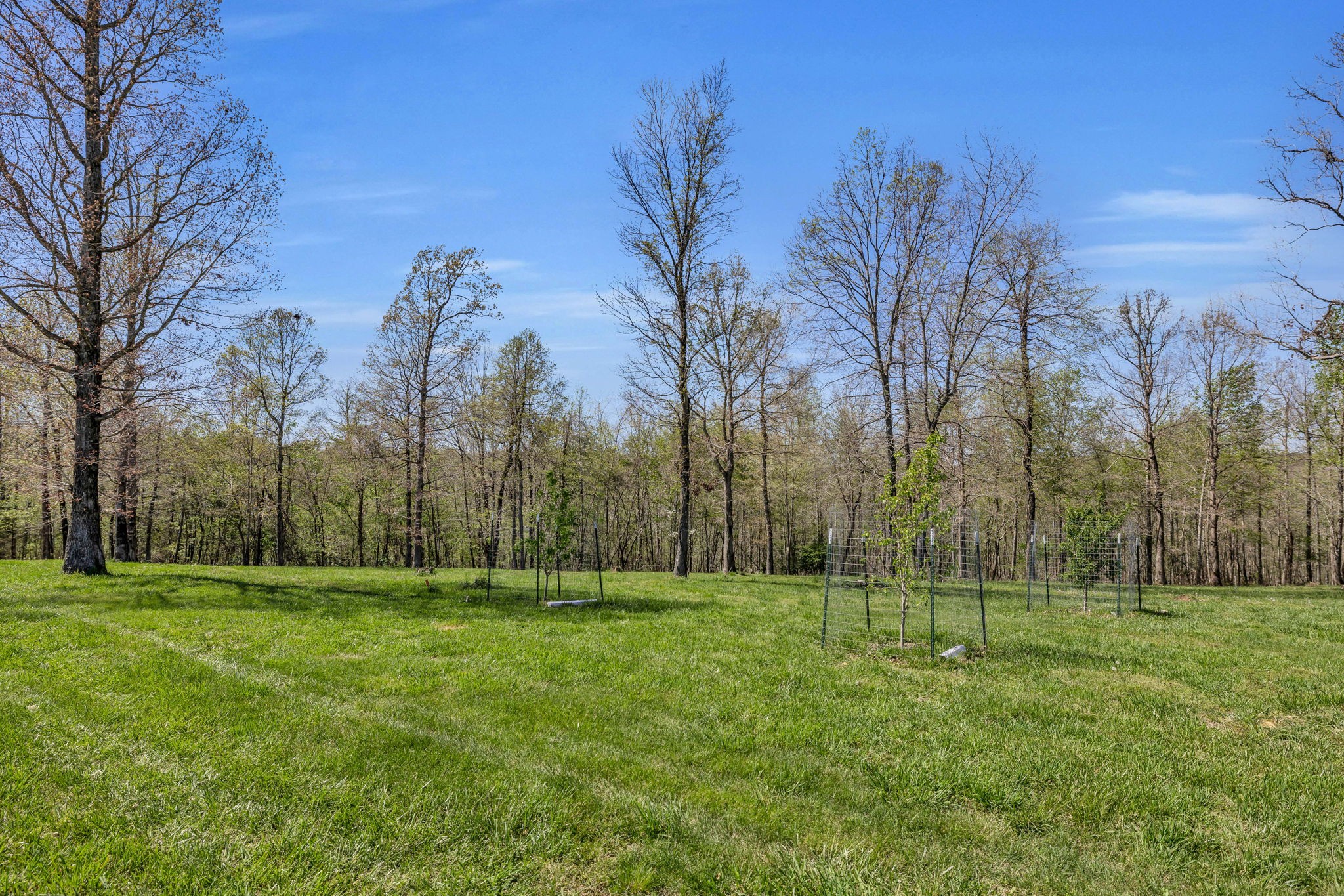 7850 W Lick Creek Rd