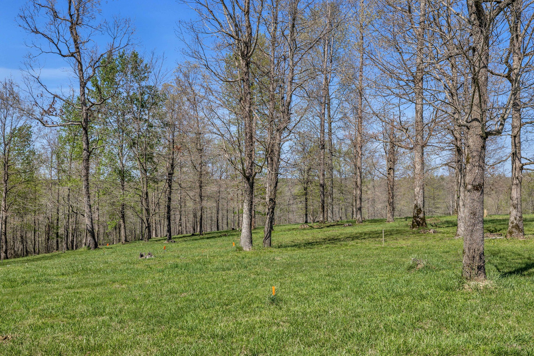 7850 W Lick Creek Rd