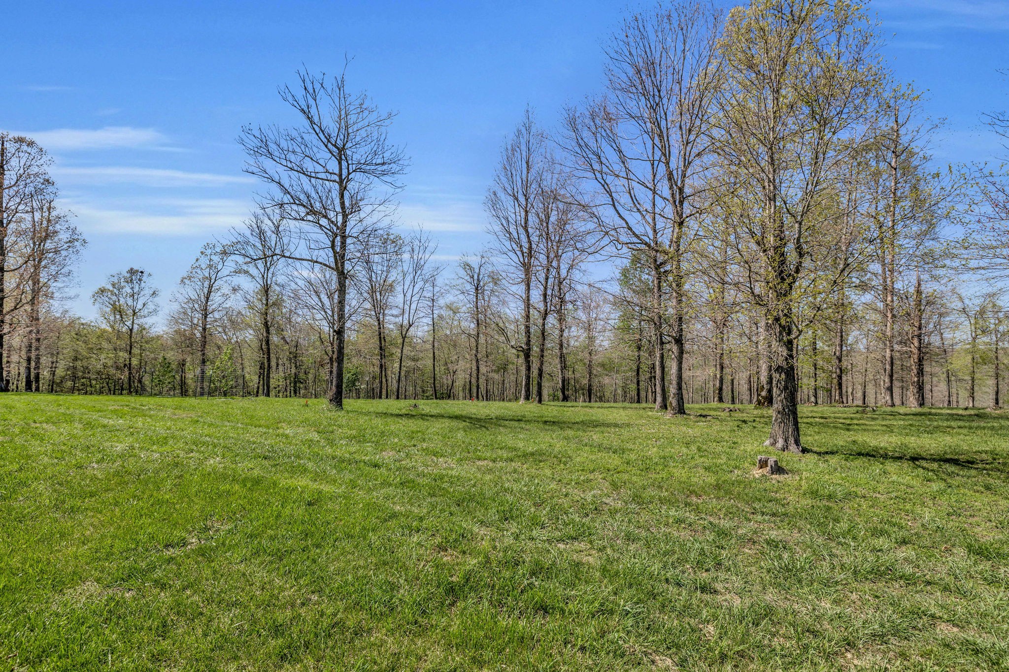 7850 W Lick Creek Rd