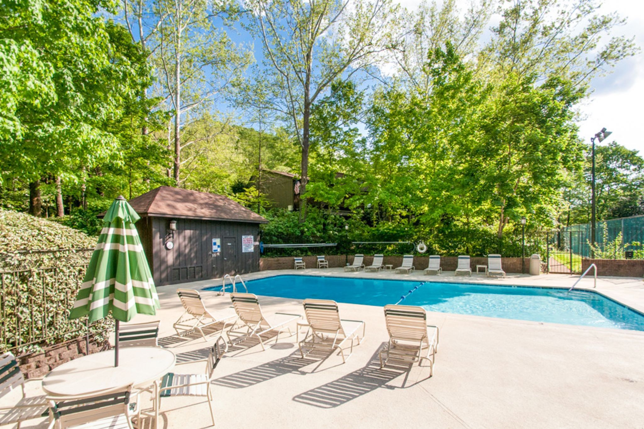 129 Holly Forest