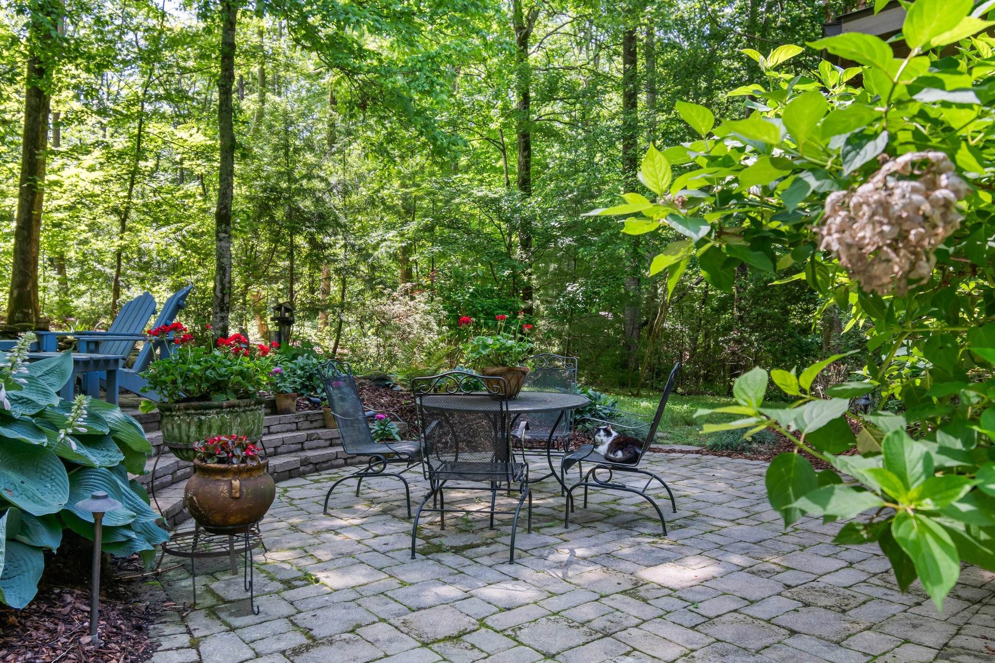 1008 Thornblade Drive