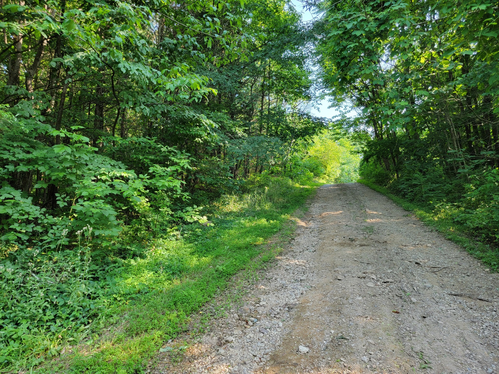 56 Ella West Circle