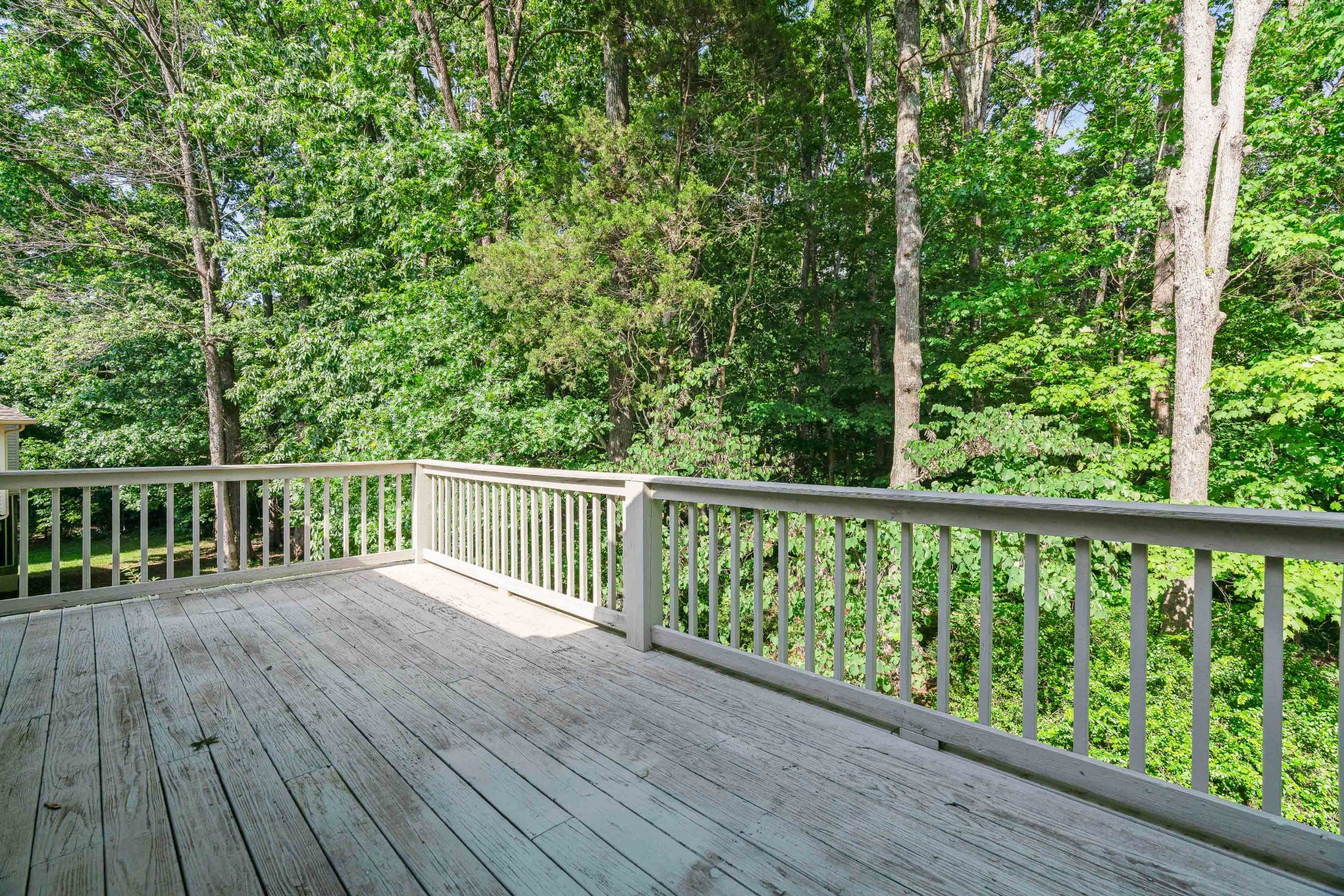 984 Trail Ridge Cir