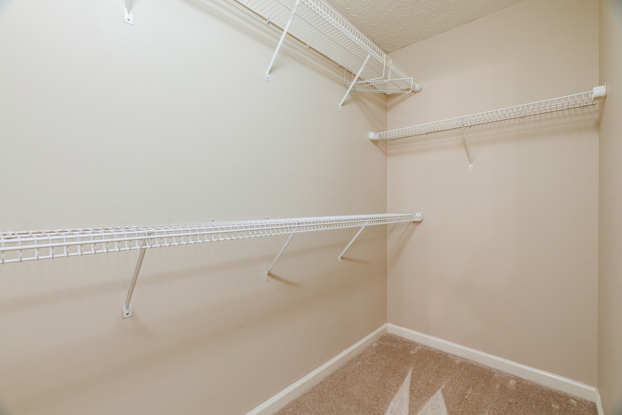 984 Trail Ridge Cir