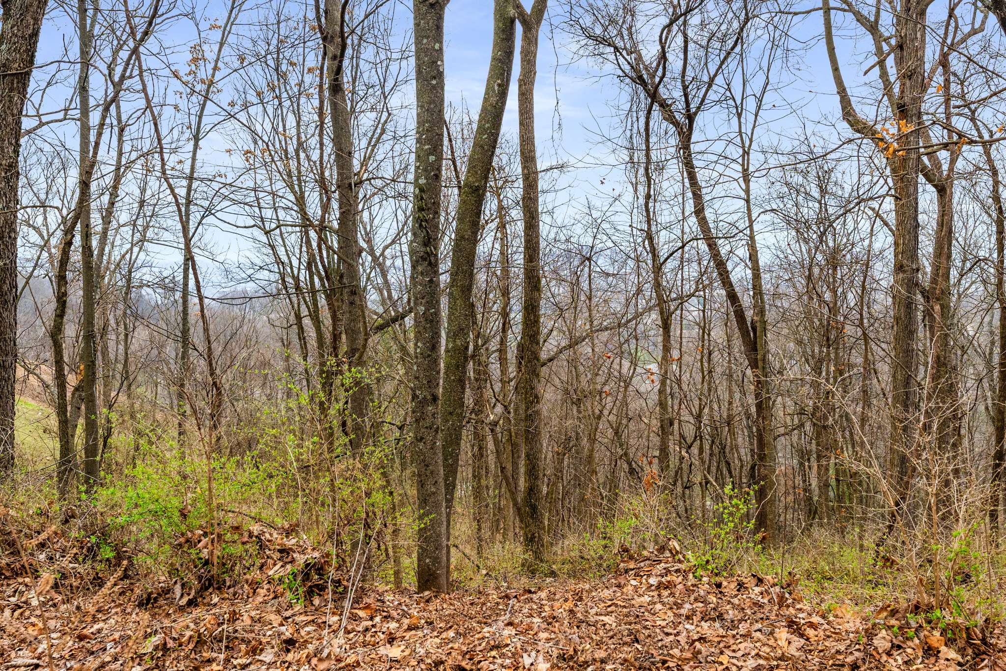 1007 Lookout Ridge Ct
