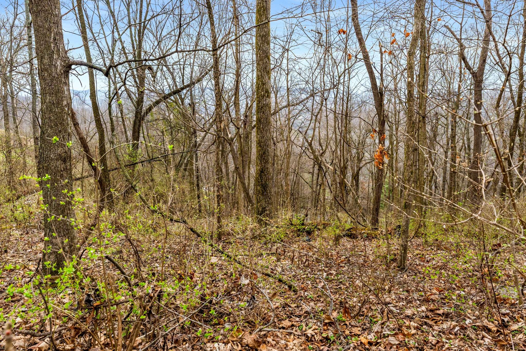 1007 Lookout Ridge Ct