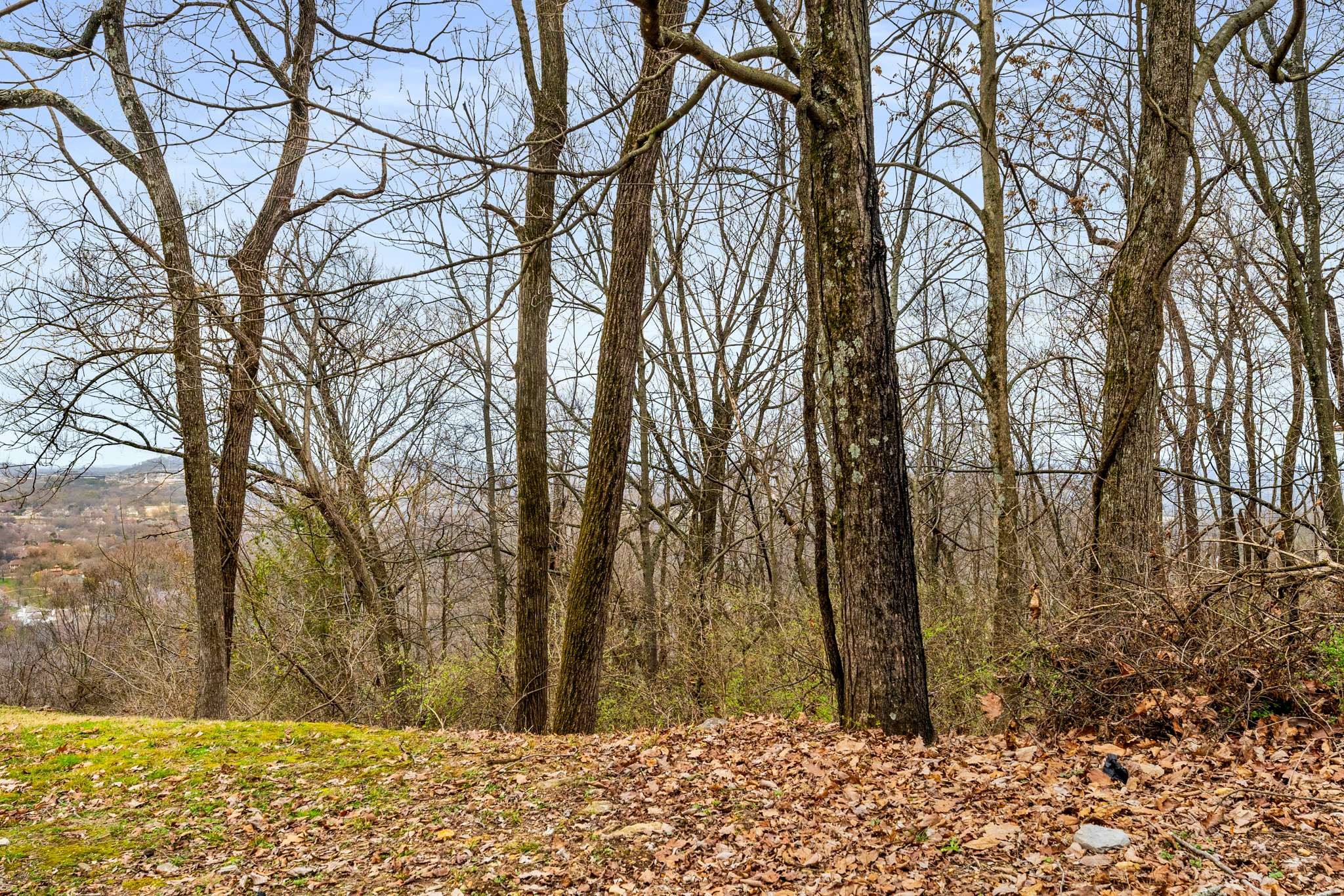 1007 Lookout Ridge Ct