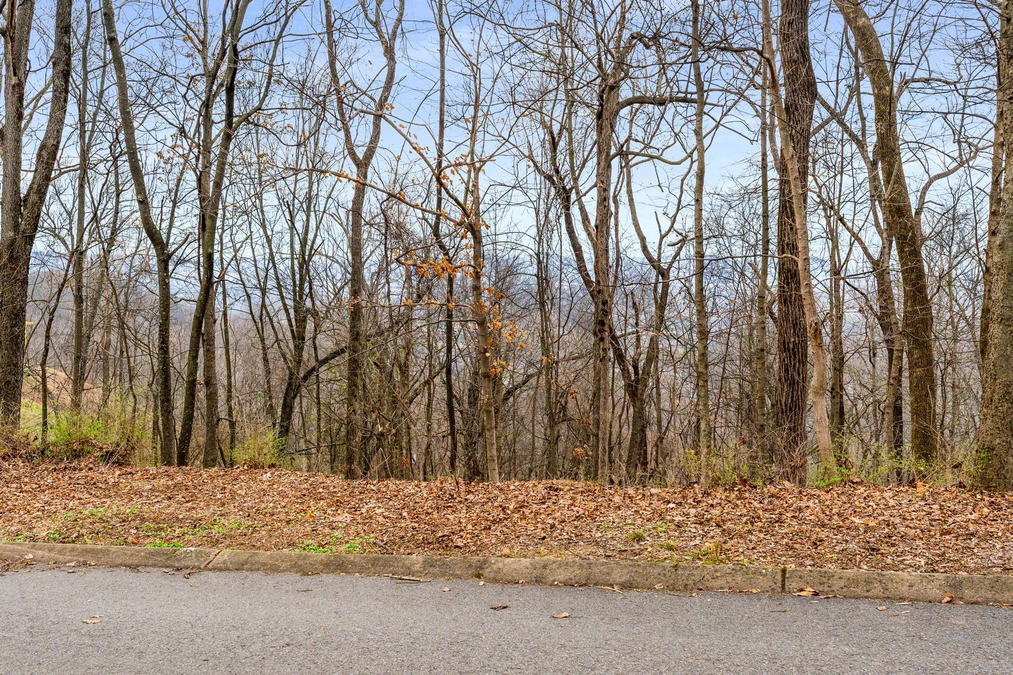 1007 Lookout Ridge Ct