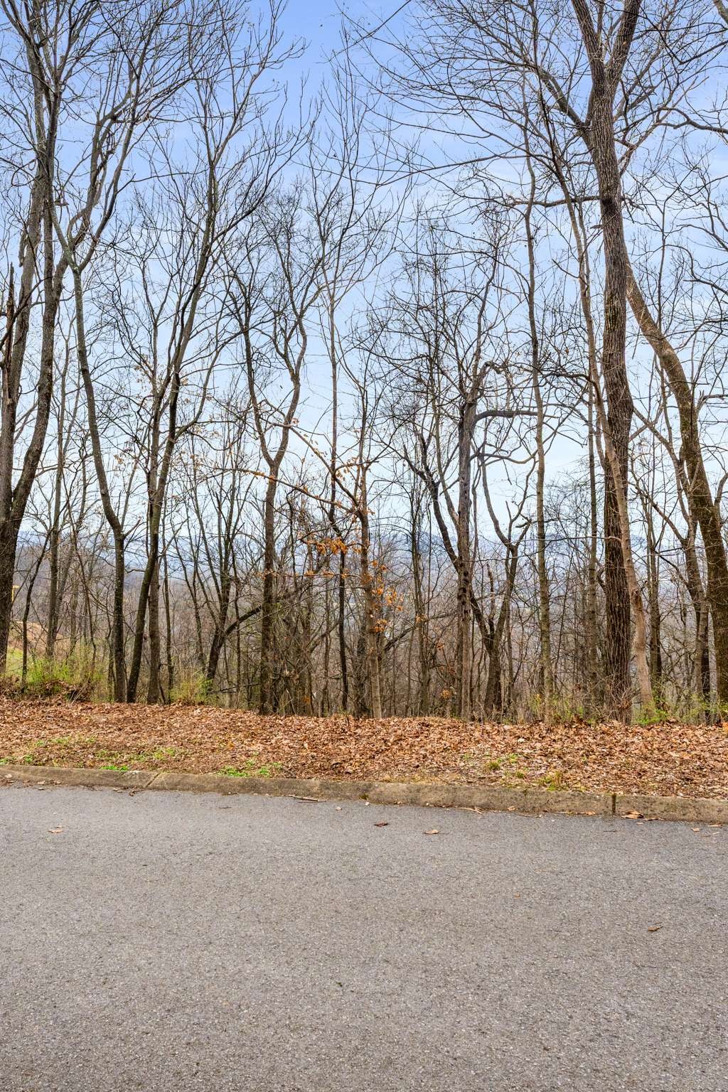 1007 Lookout Ridge Ct