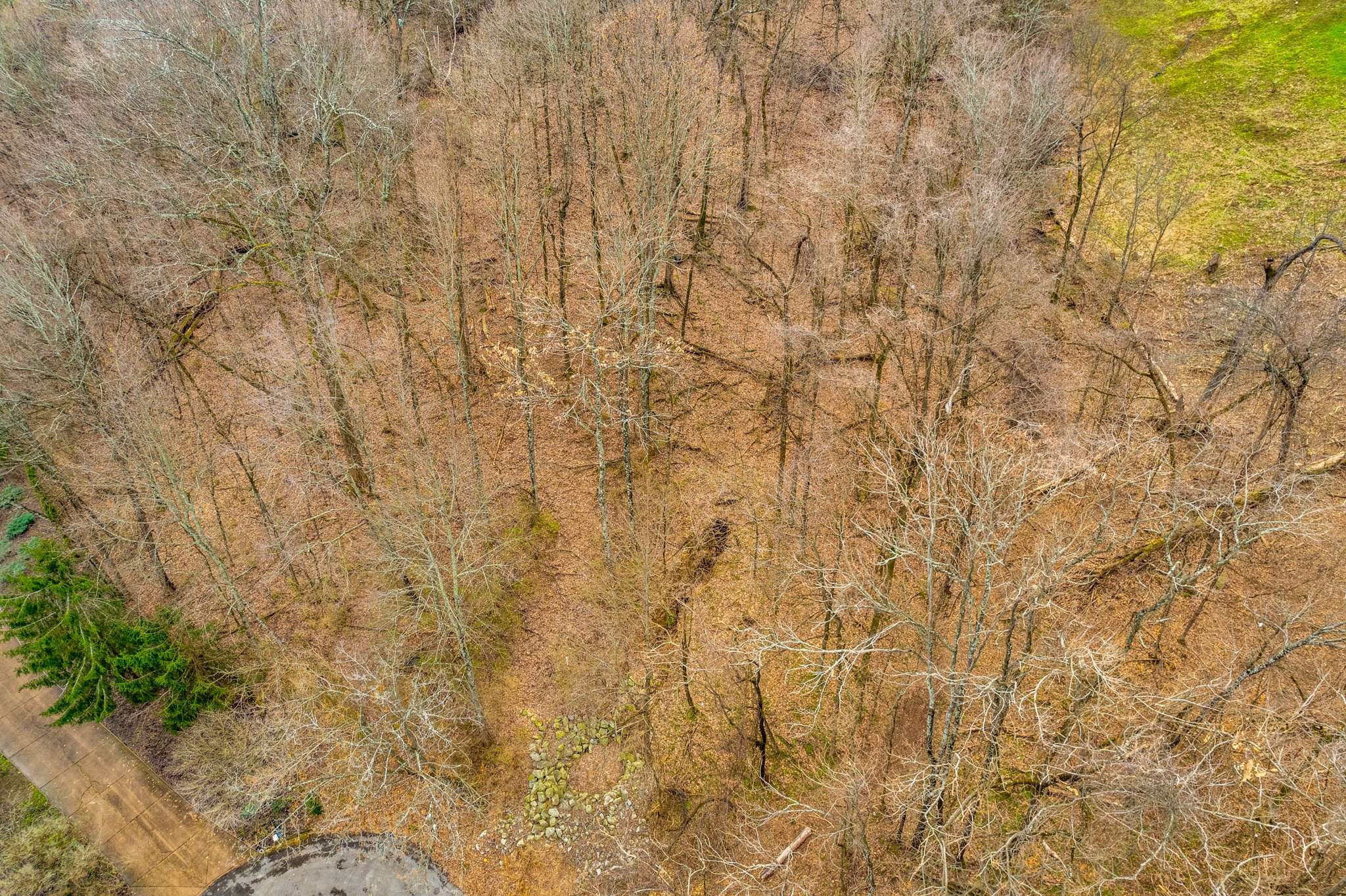1007 Lookout Ridge Ct