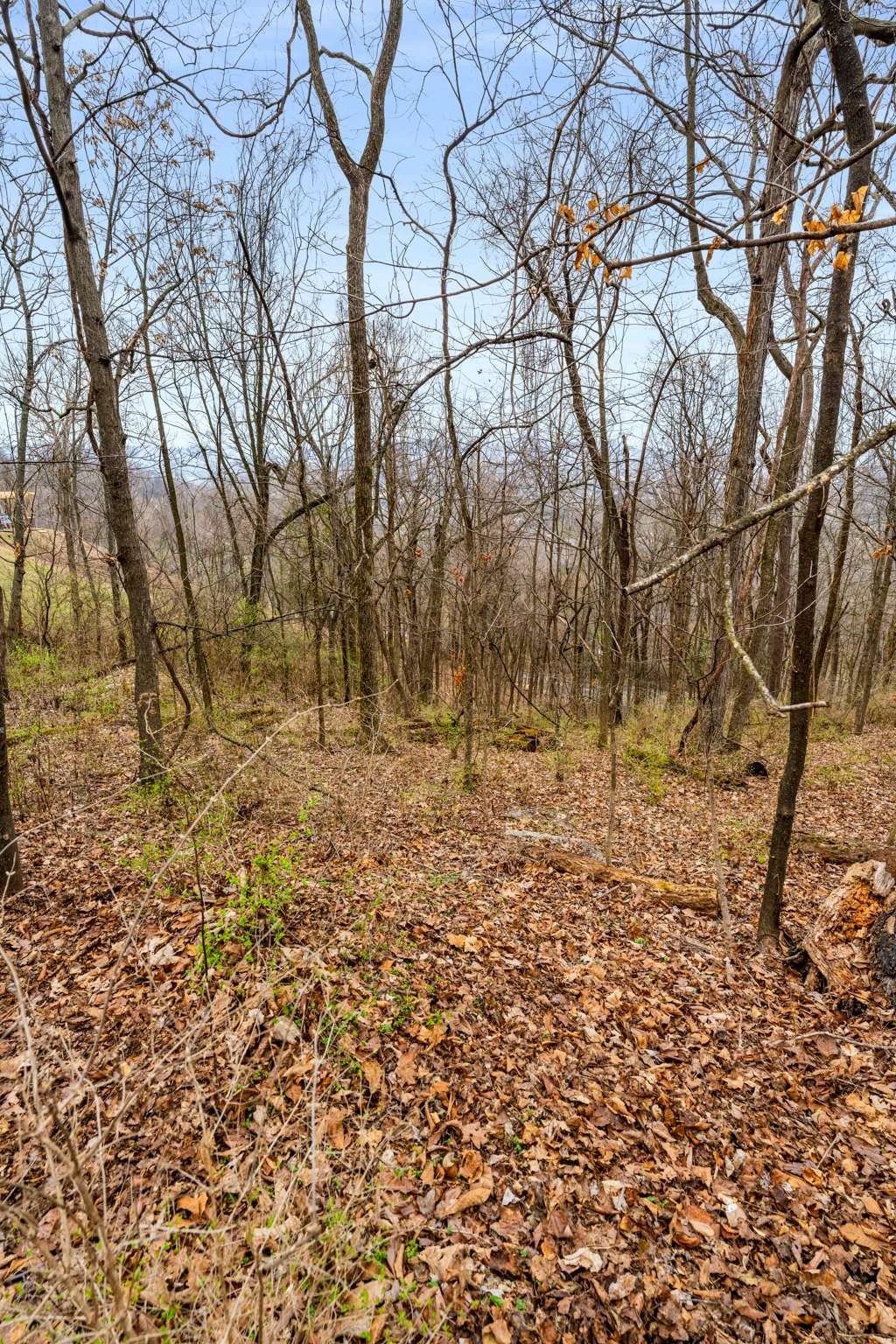 1007 Lookout Ridge Ct