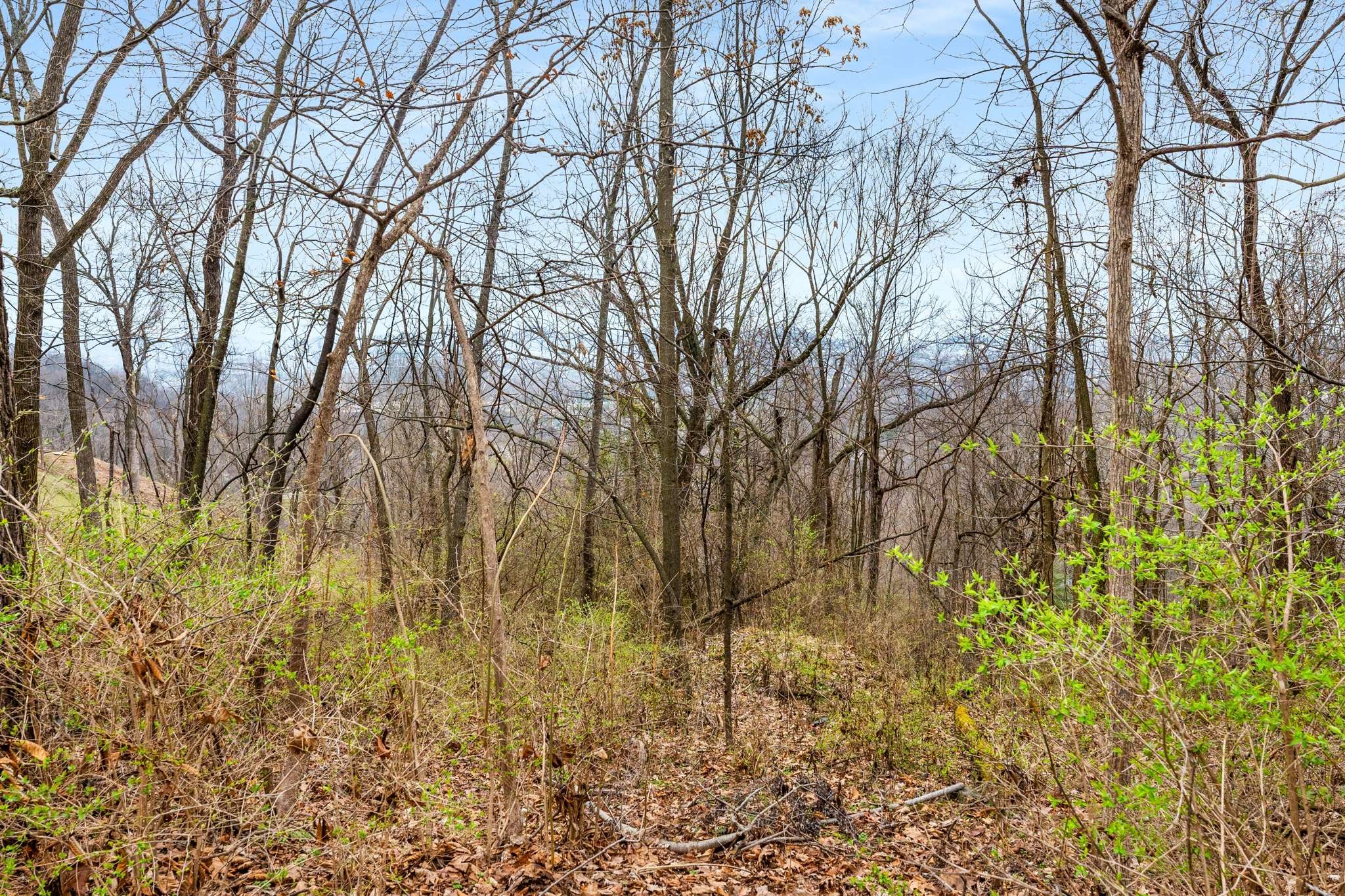 1007 Lookout Ridge Ct