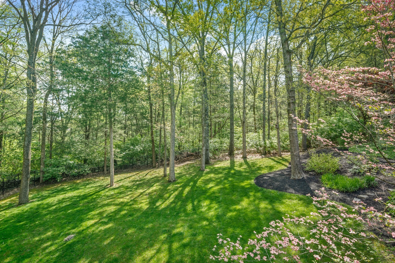 504 Grand Oaks Dr