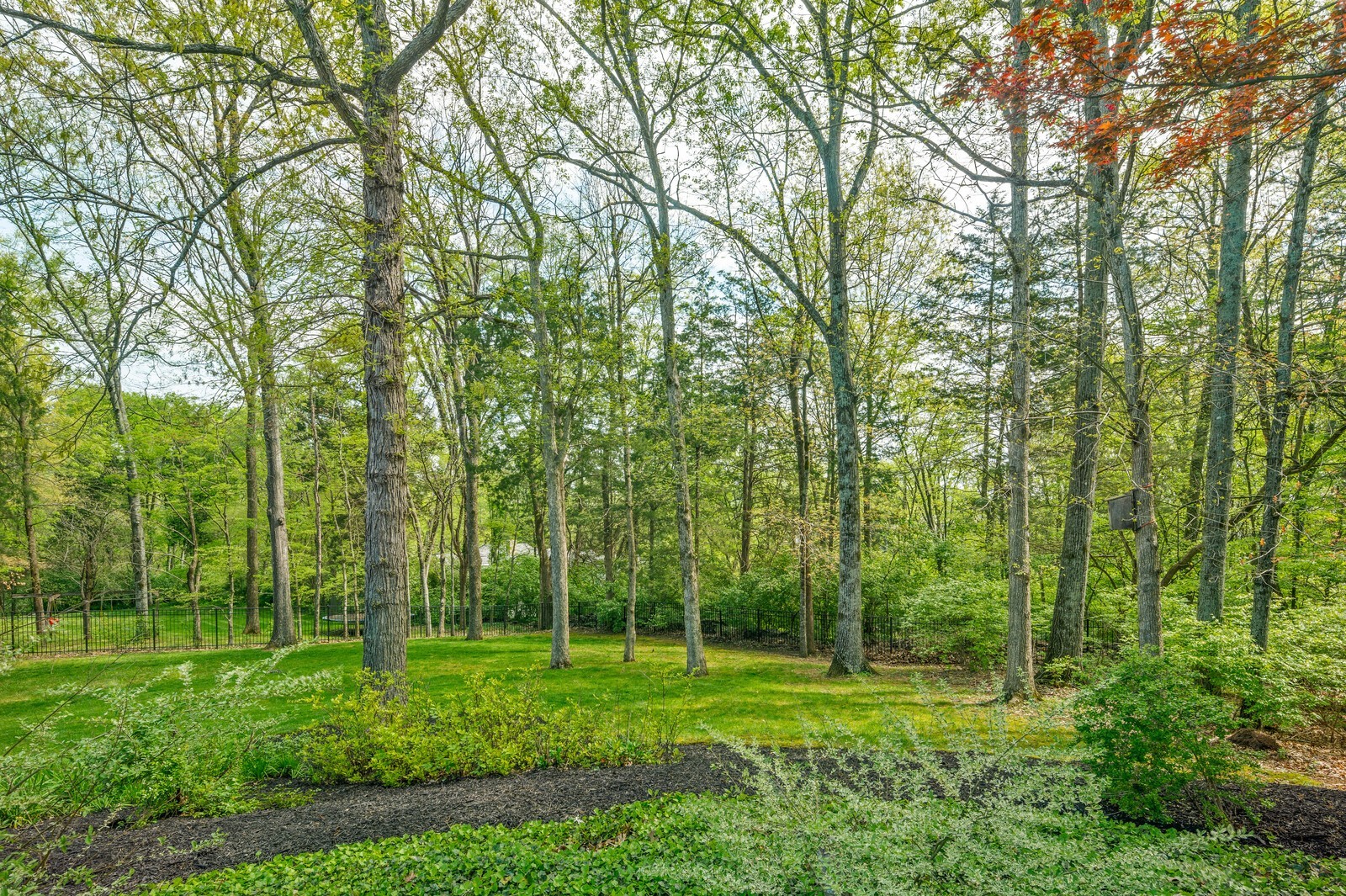 504 Grand Oaks Dr