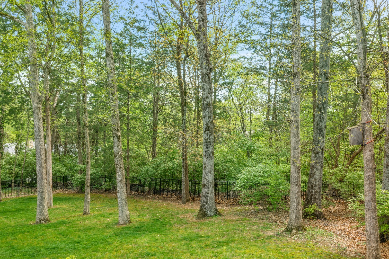 504 Grand Oaks Dr