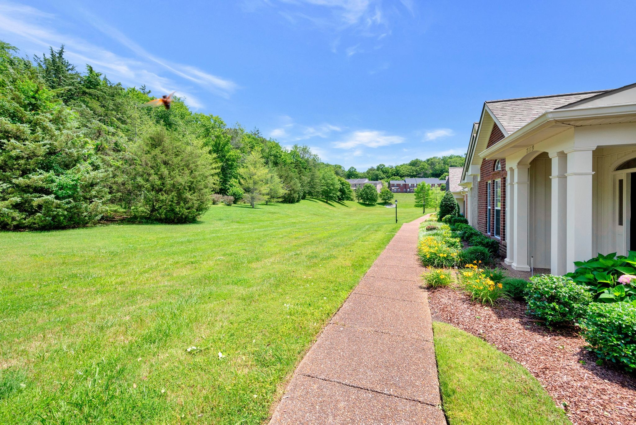 7119 Sunrise Cir