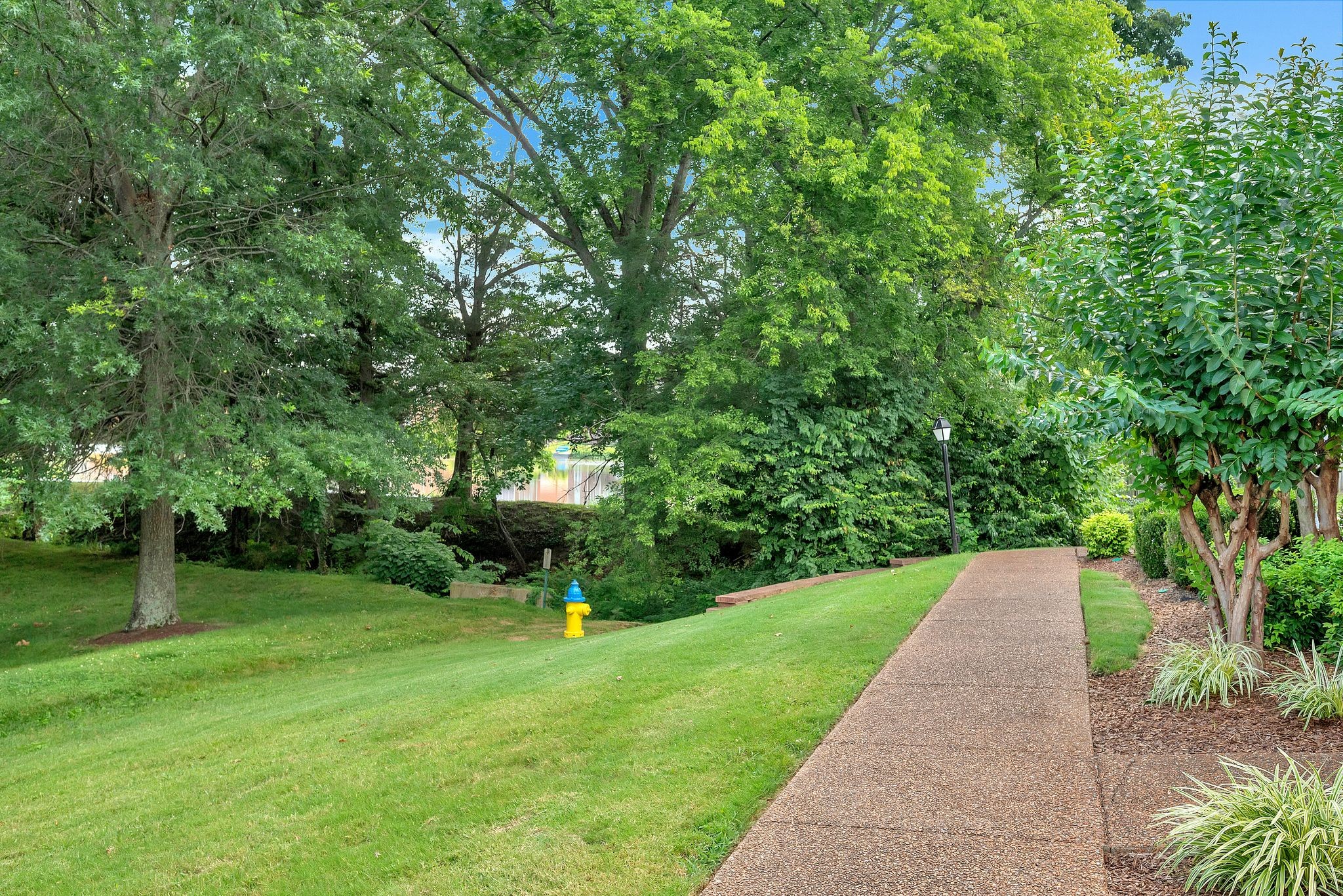 7007 Sunrise Cir
