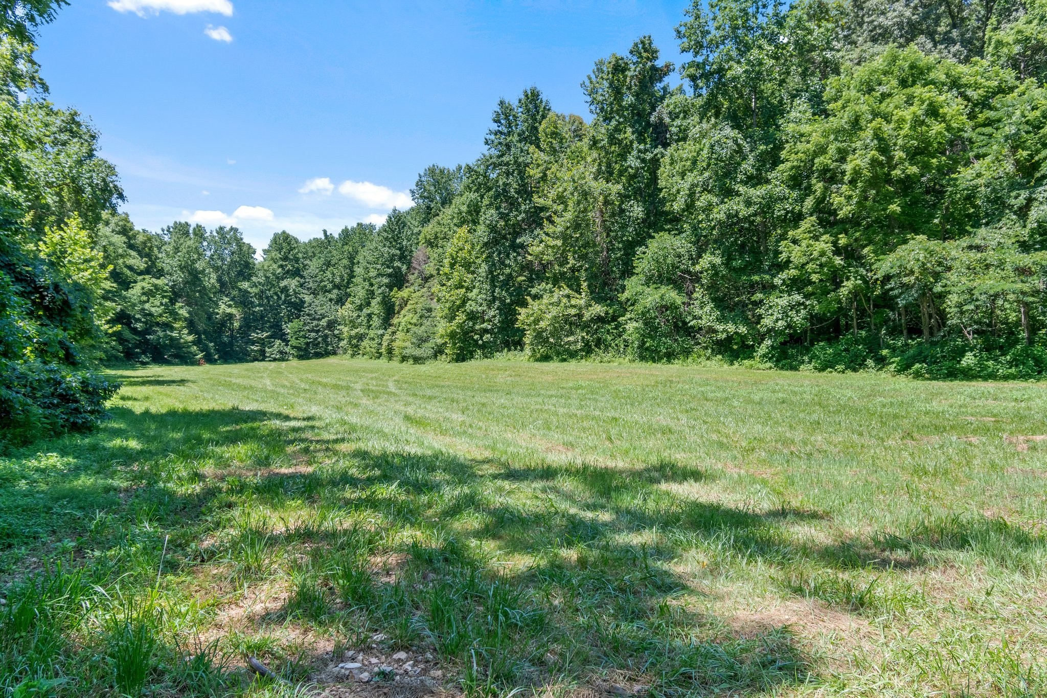 941 Jones Hollow Lane