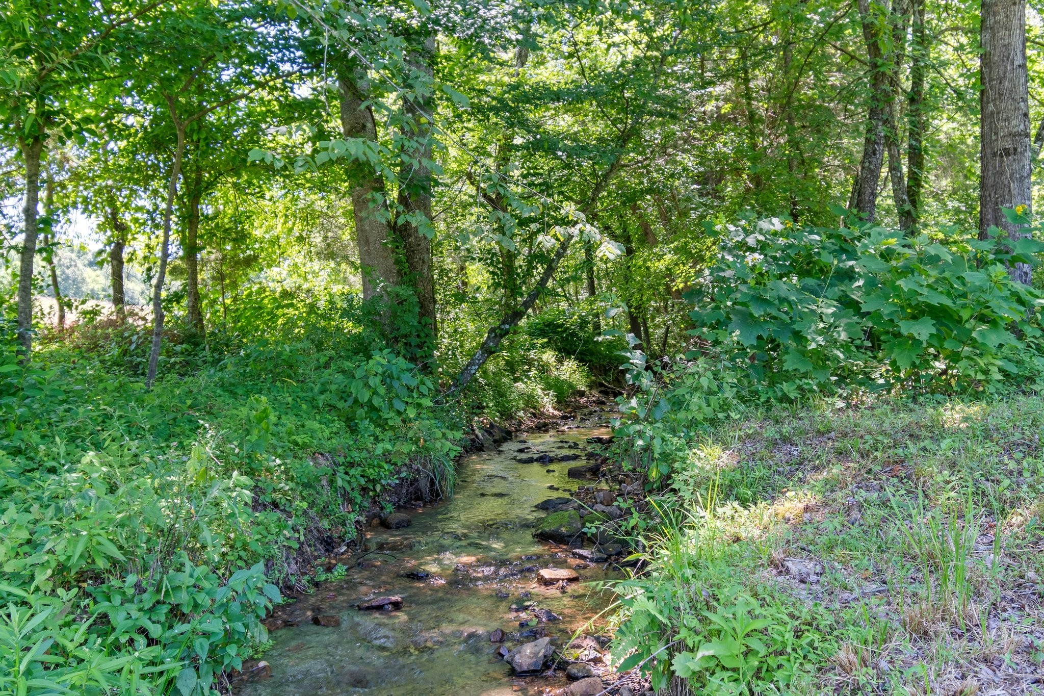 941 Jones Hollow Lane