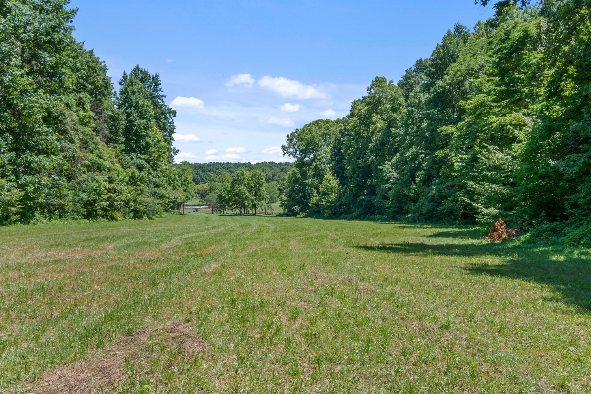 941 Jones Hollow Lane