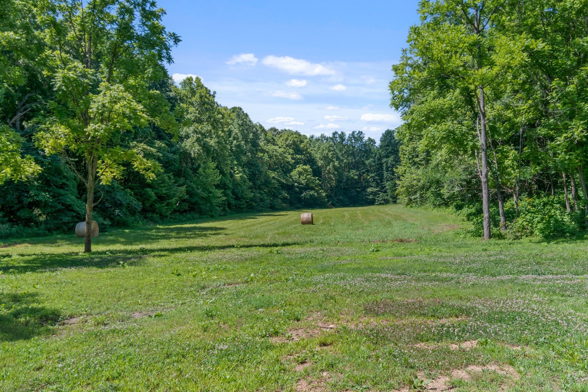 941 Jones Hollow Lane