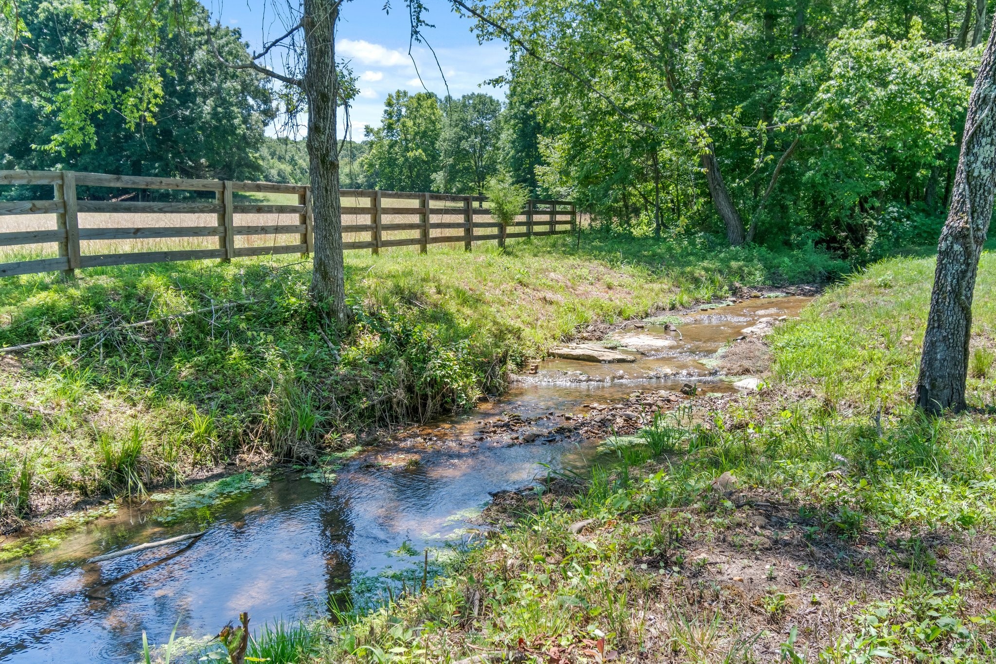 941 Jones Hollow Lane