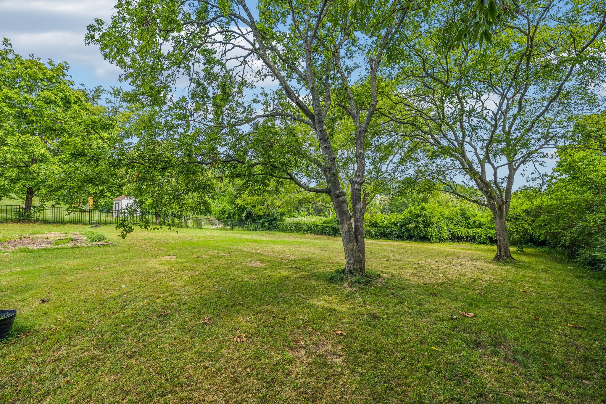 448 Welshwood Dr