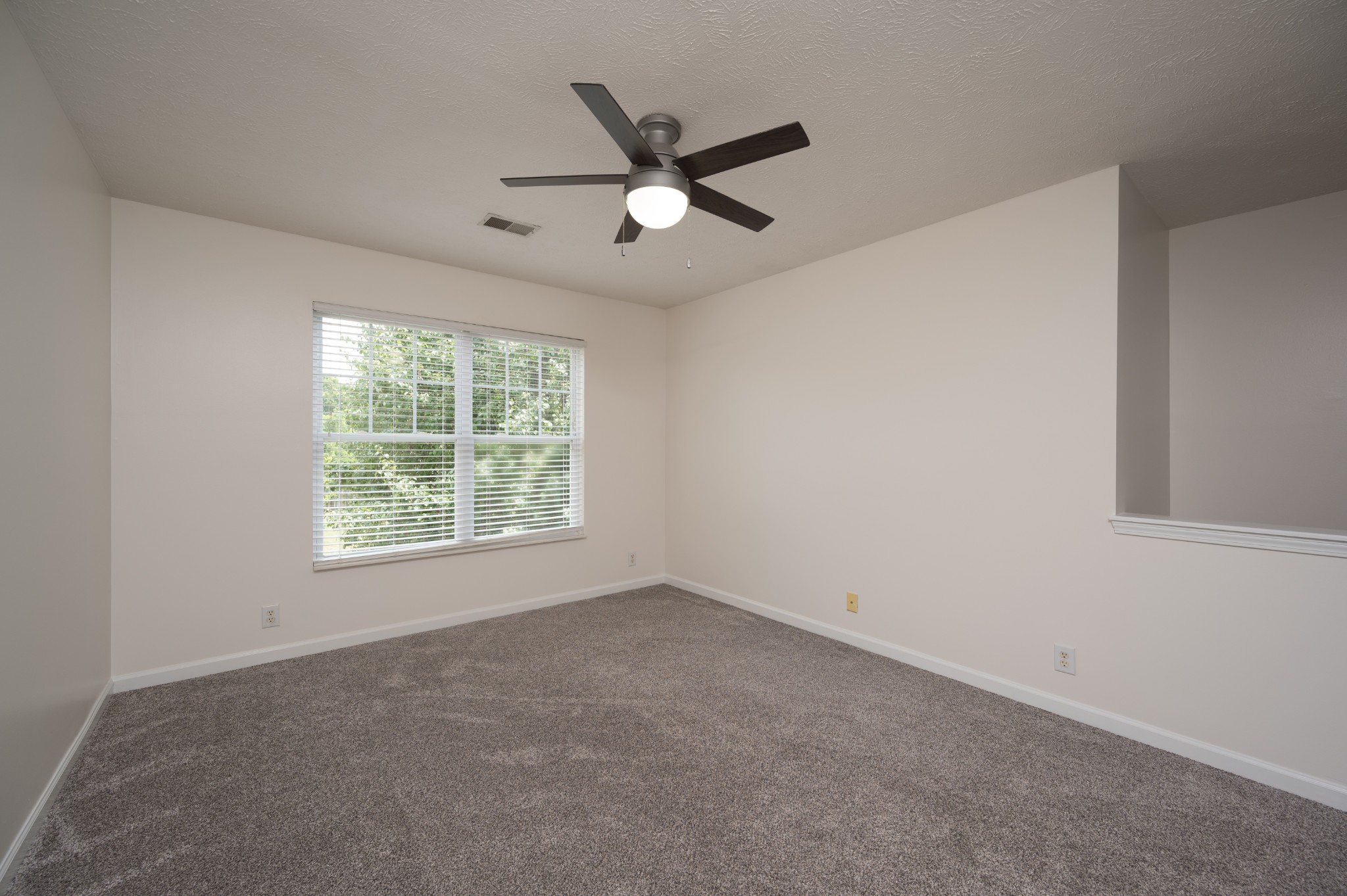 8124 Boone Trce