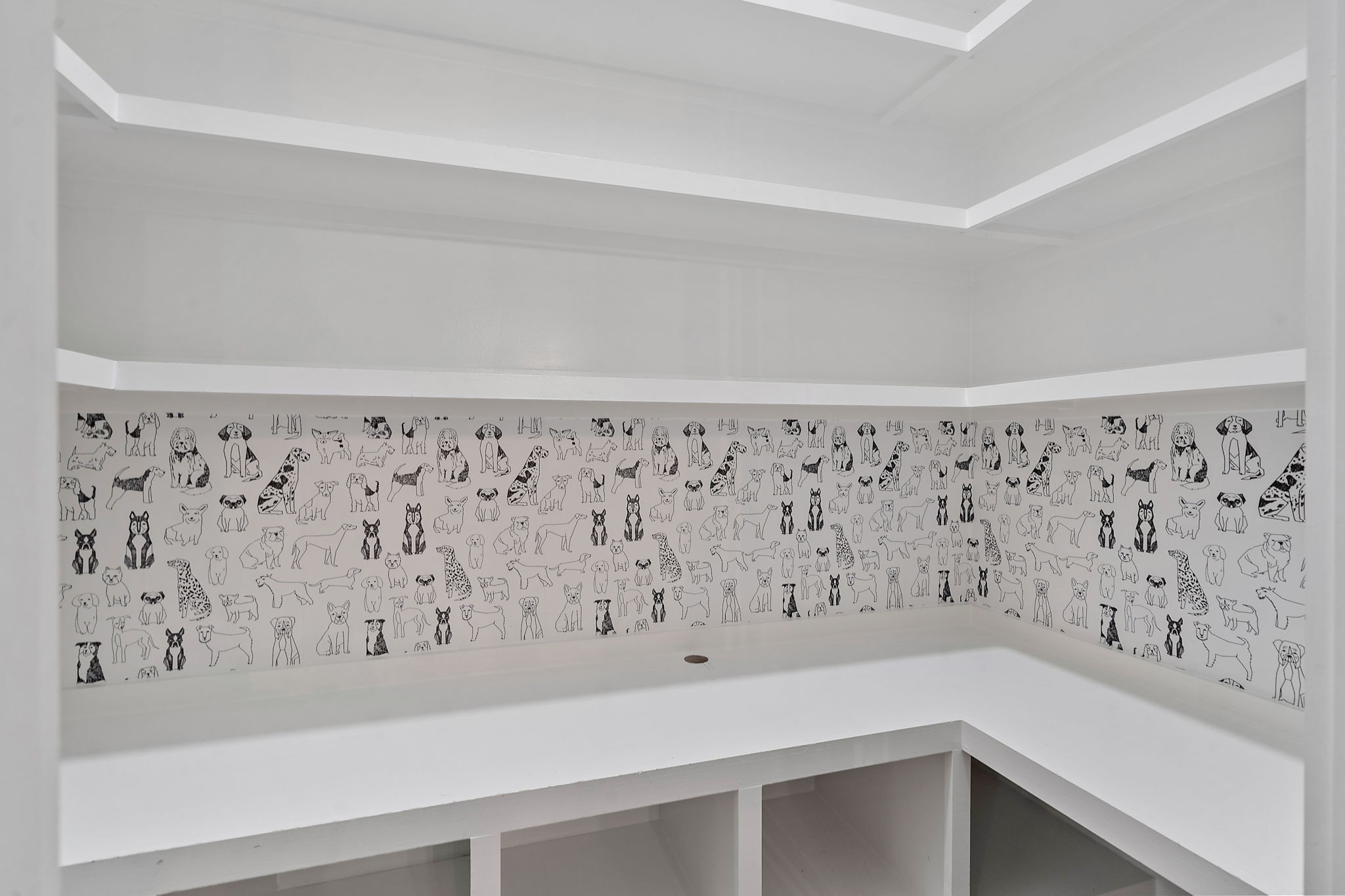 1313 5th Ave, N Unit: 3