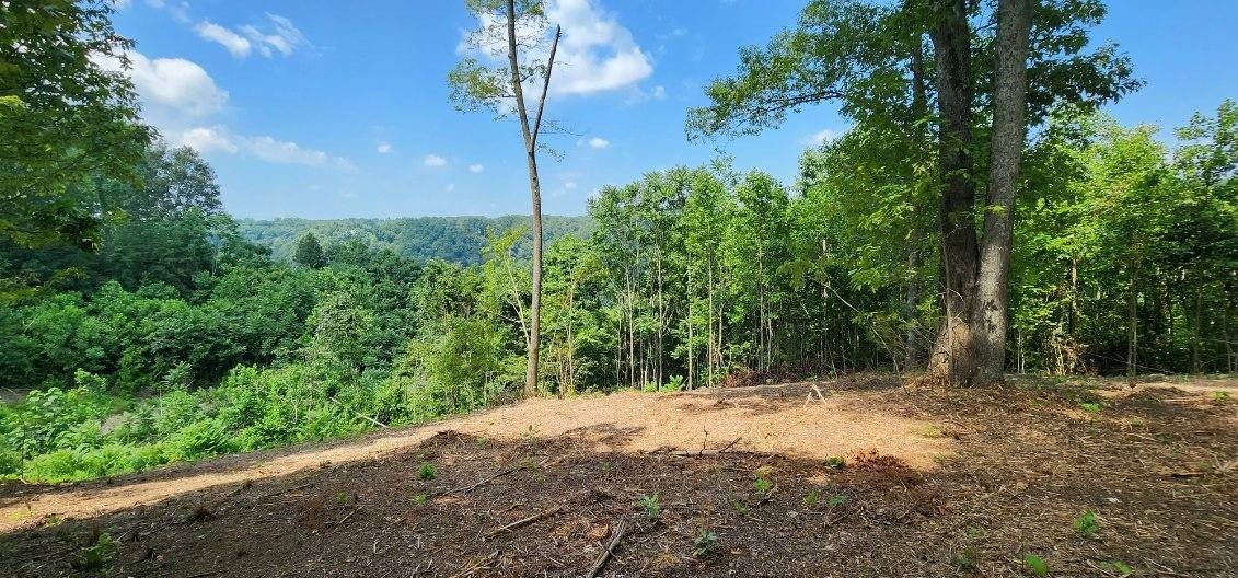 0 W Hutchins Bend Road