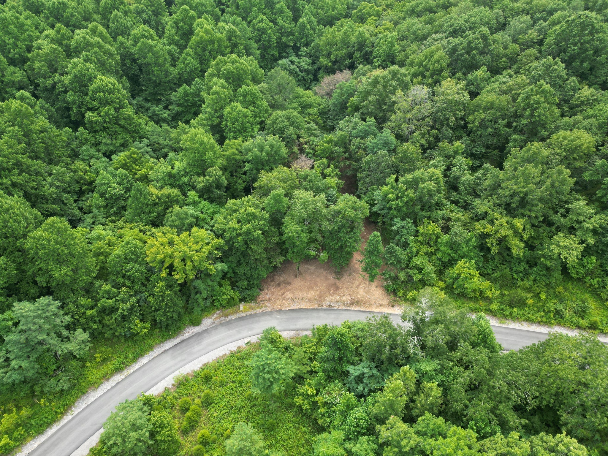 0 W Hutchins Bend Road