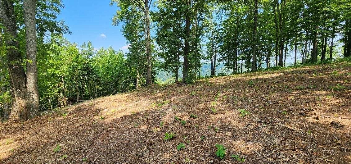0 W Hutchins Bend Road